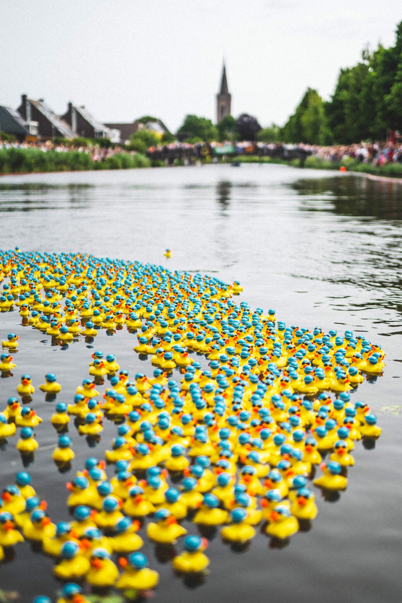 Honderden badeendjes drijven op het water richting de kerk