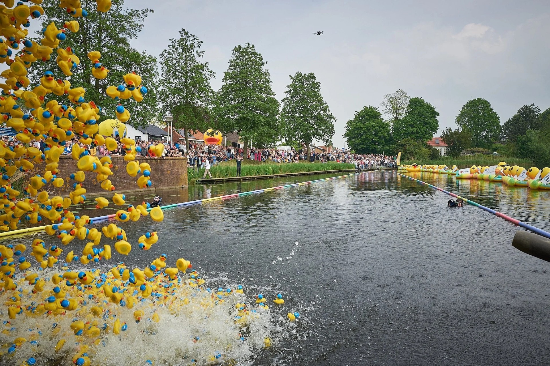 Eendjes vallen vanaf de hoogte het water in tijdens de start